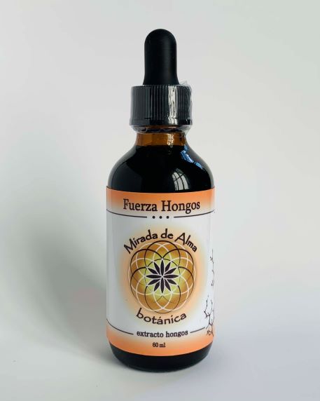Fuerza Hongos
